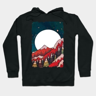 Winter stars and peaks Hoodie